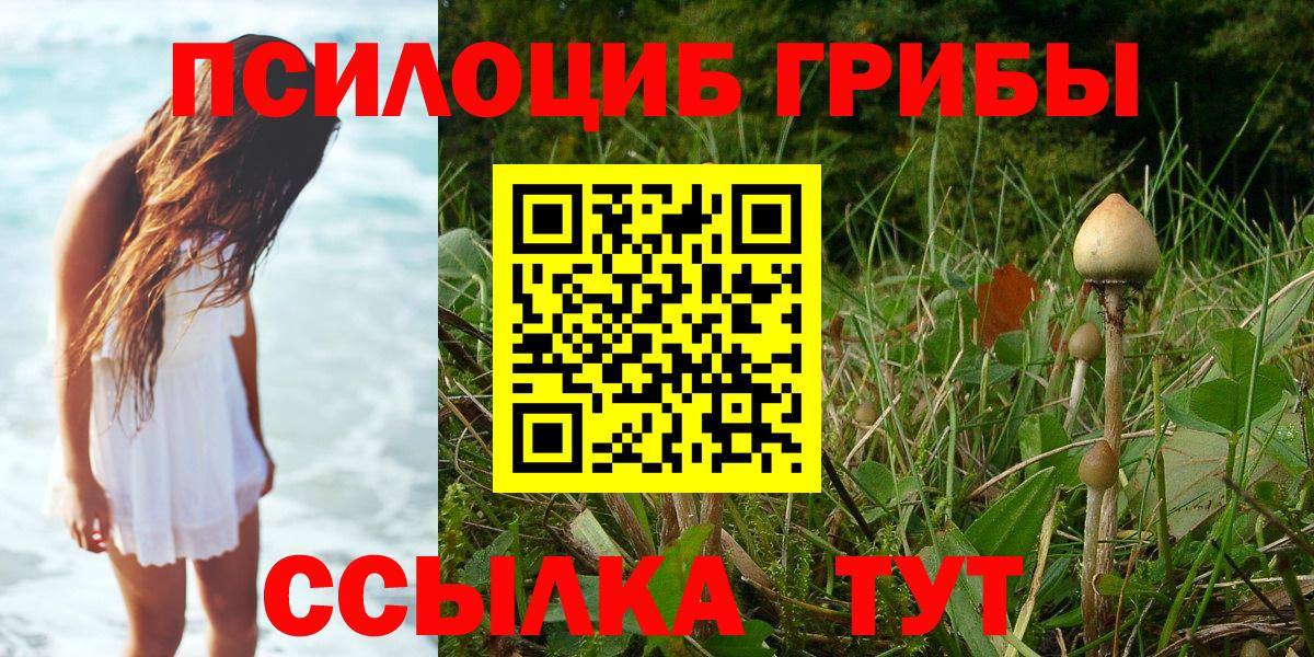 Галлюциногенные грибы прущие грибы Шадринск